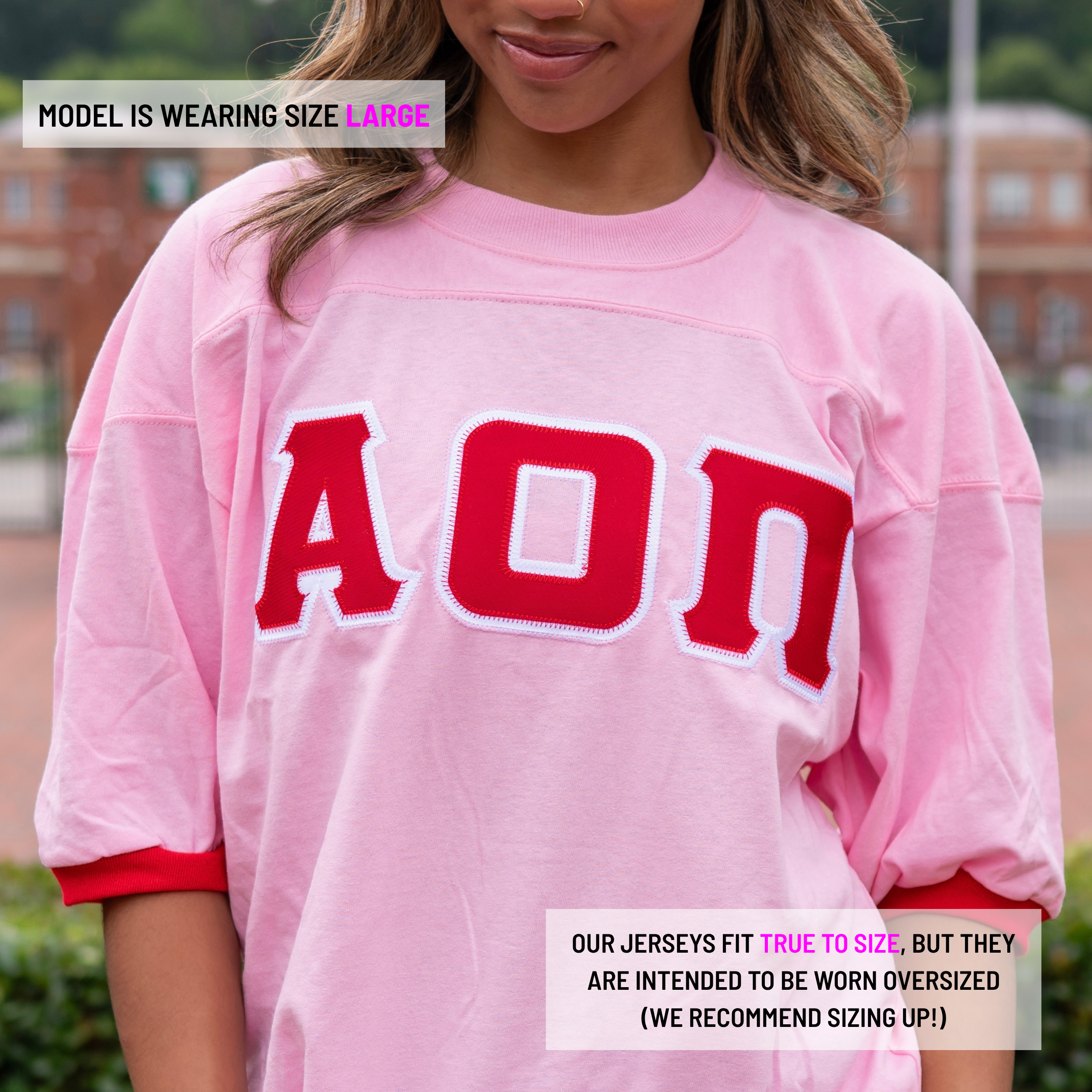 Basic Greek Letter Crew Neck Jersey - Alpha Omicron Pi