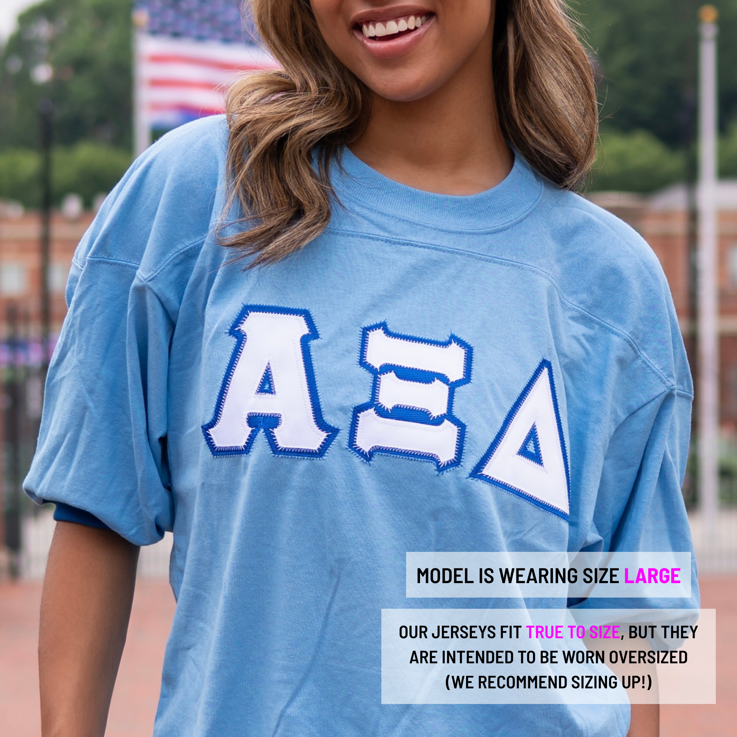Basic Greek Letter Crew Neck Jersey - Alpha Xi Delta