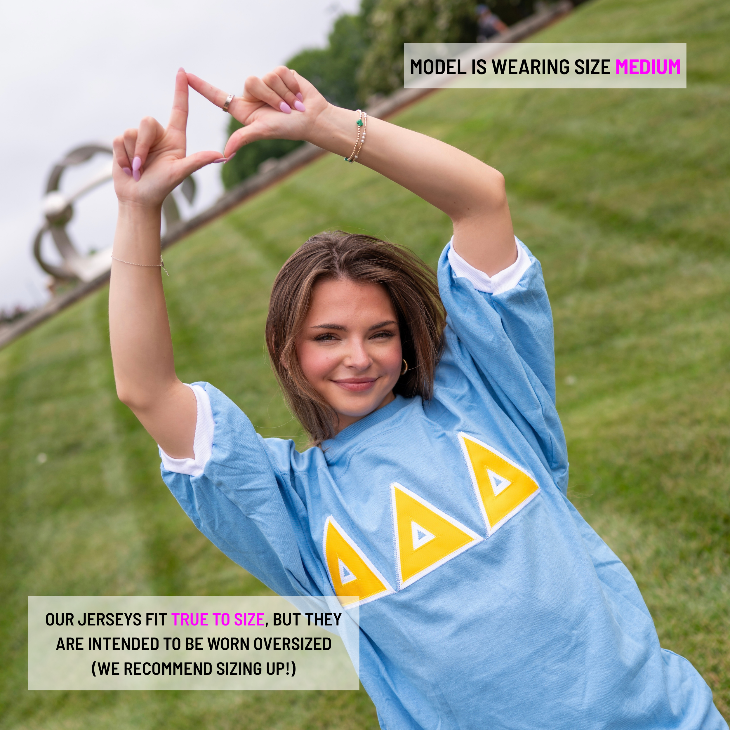 Basic Greek Letter Crew Neck Jersey - Delta Delta Delta