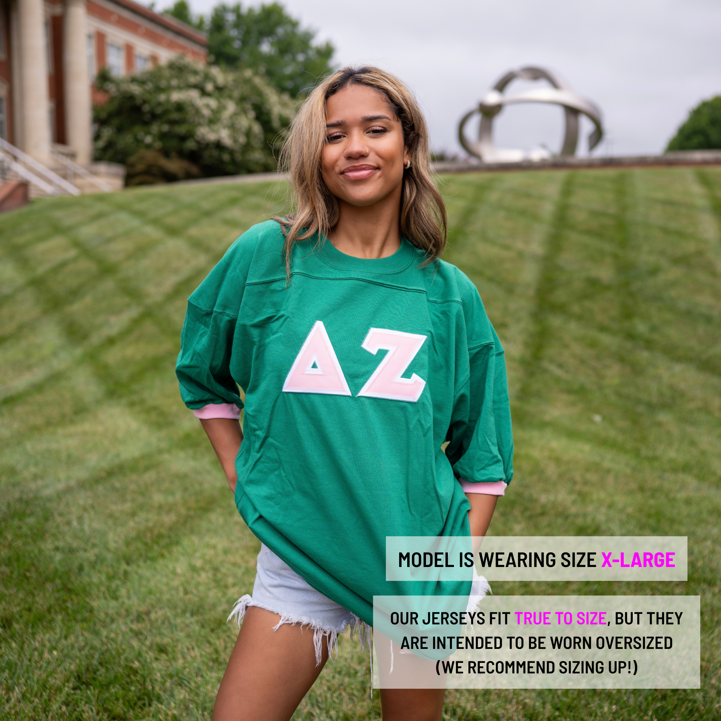 Basic Greek Letter Crew Neck Jersey - Delta Zeta