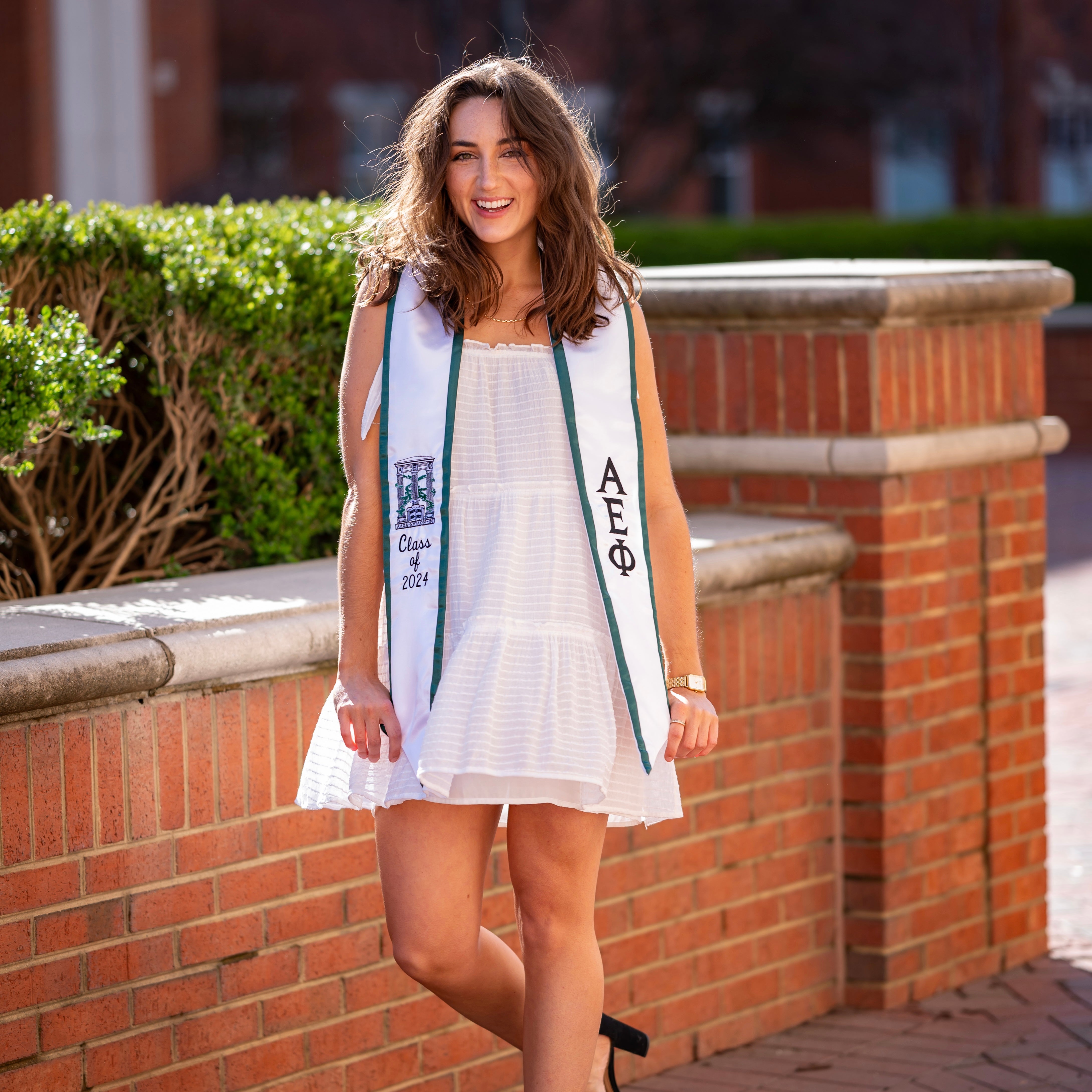 Custom Alpha Epsilon Phi Crest Greek Letter Sorority Graduation Stole Custom Alpha Epsilon Phi Crest Greek Letter Sorority Graduation Stole