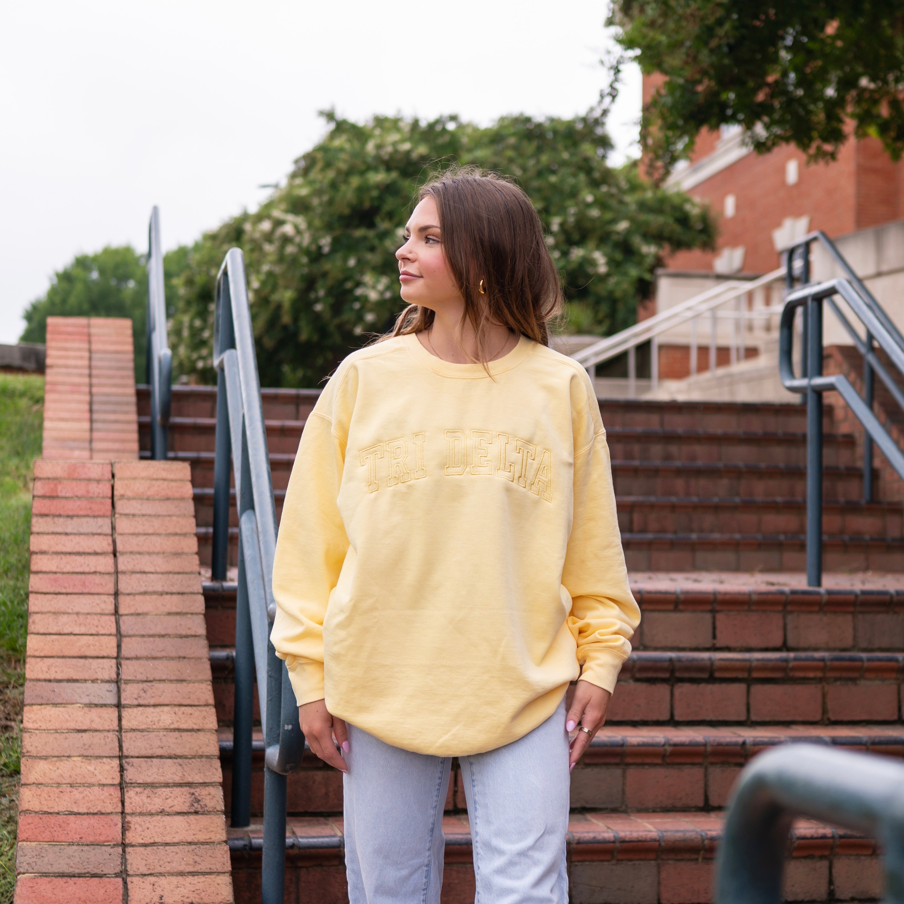 Homebody Embroidered Crew Neck Sweatshirt - Delta Delta Delta