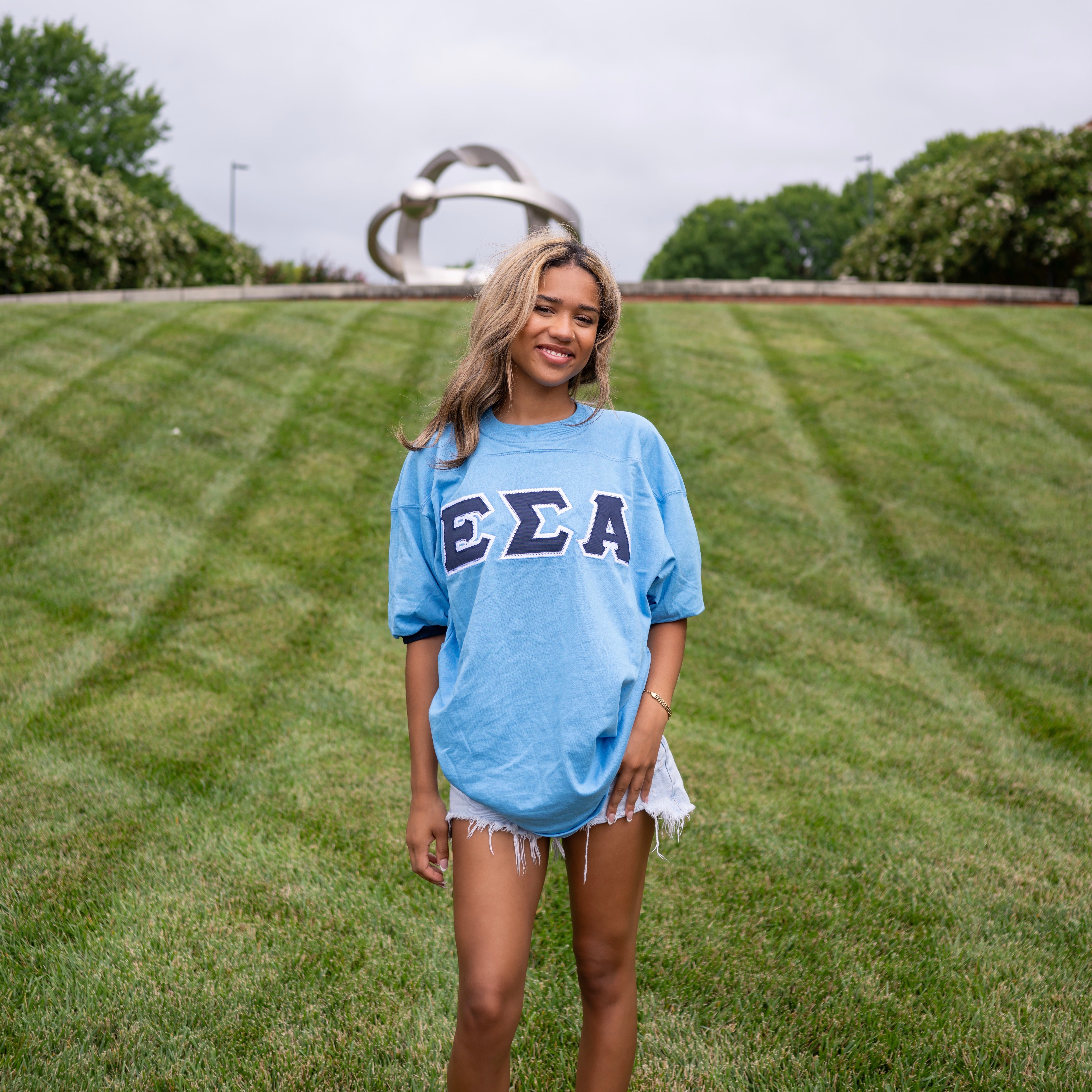 Basic Greek Letter Crew Neck Jersey - Epsilon Sigma Alpha