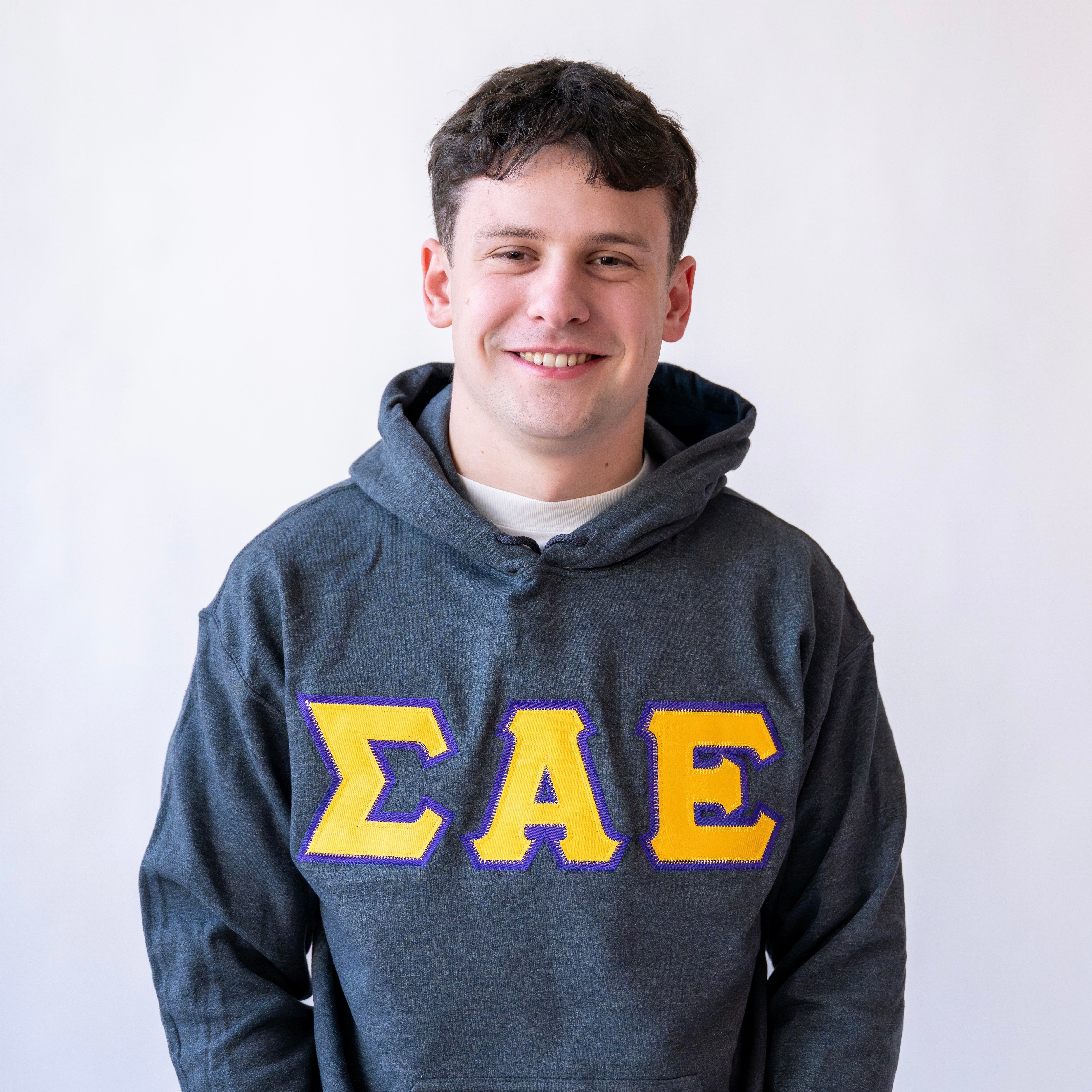 Basic Greek Letter Hoodie Sweatshirt - Sigma Alpha Epsilon