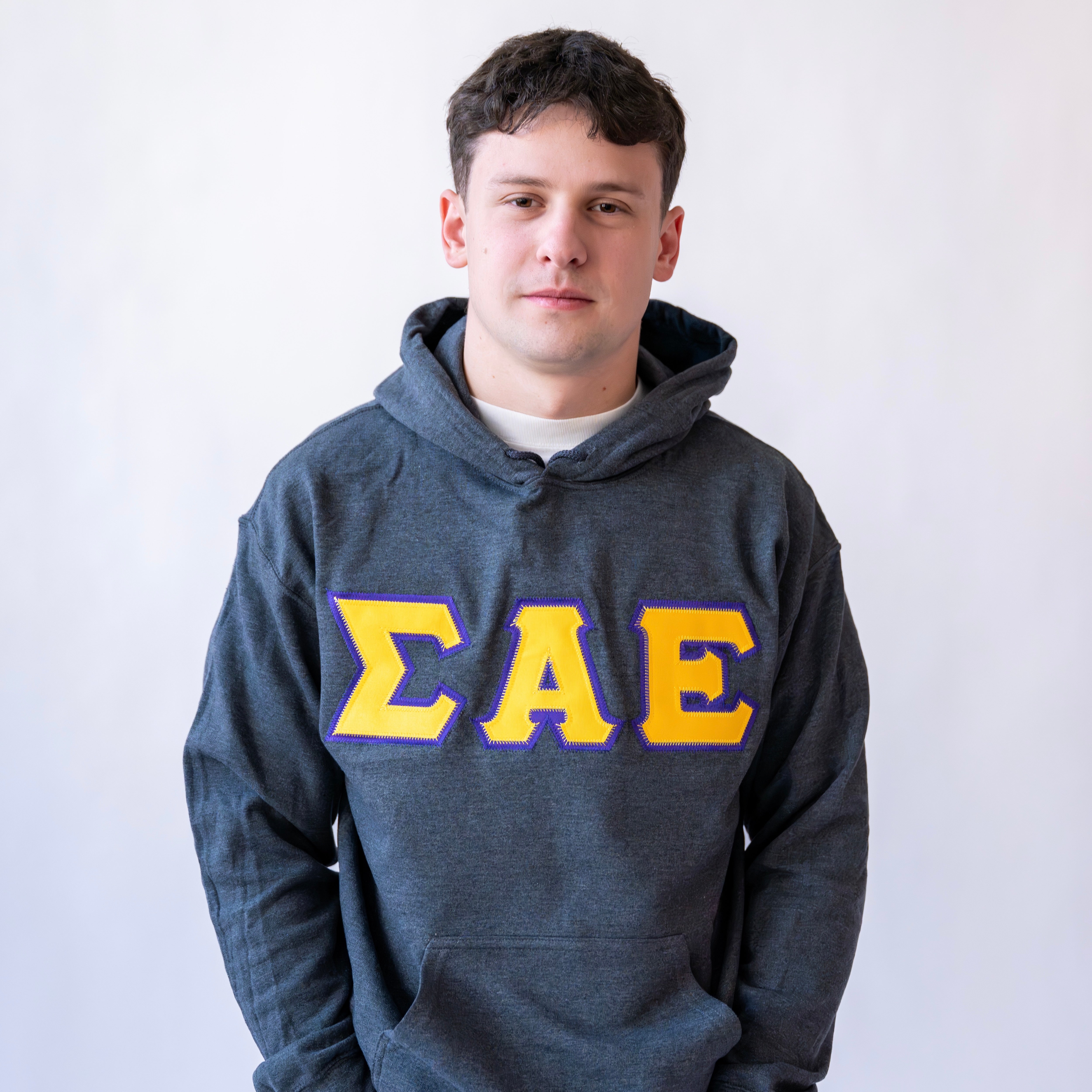 Basic Greek Letter Hoodie Sweatshirt - Sigma Alpha Epsilon