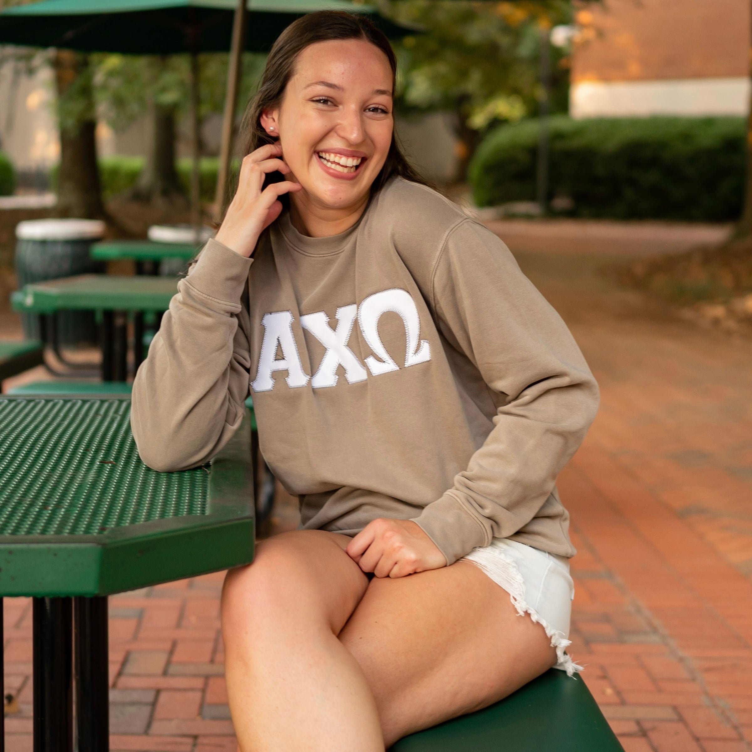 Custom Stitched Alpha Chi Omega Sorority Greek Letter Crewneck Sweatshirt