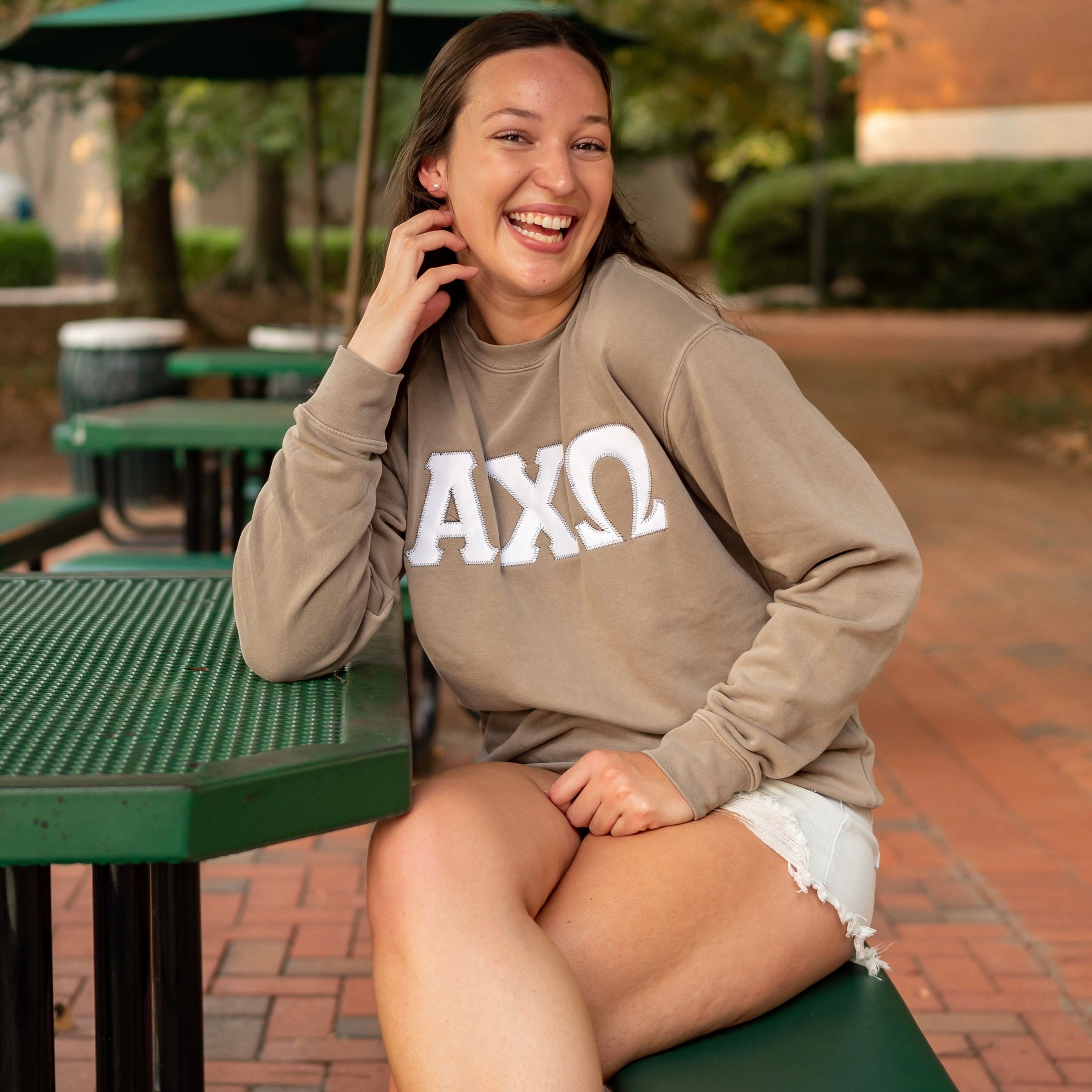 Custom Stitched Alpha Chi Omega Sorority Greek Letter Crewneck Sweatshirt