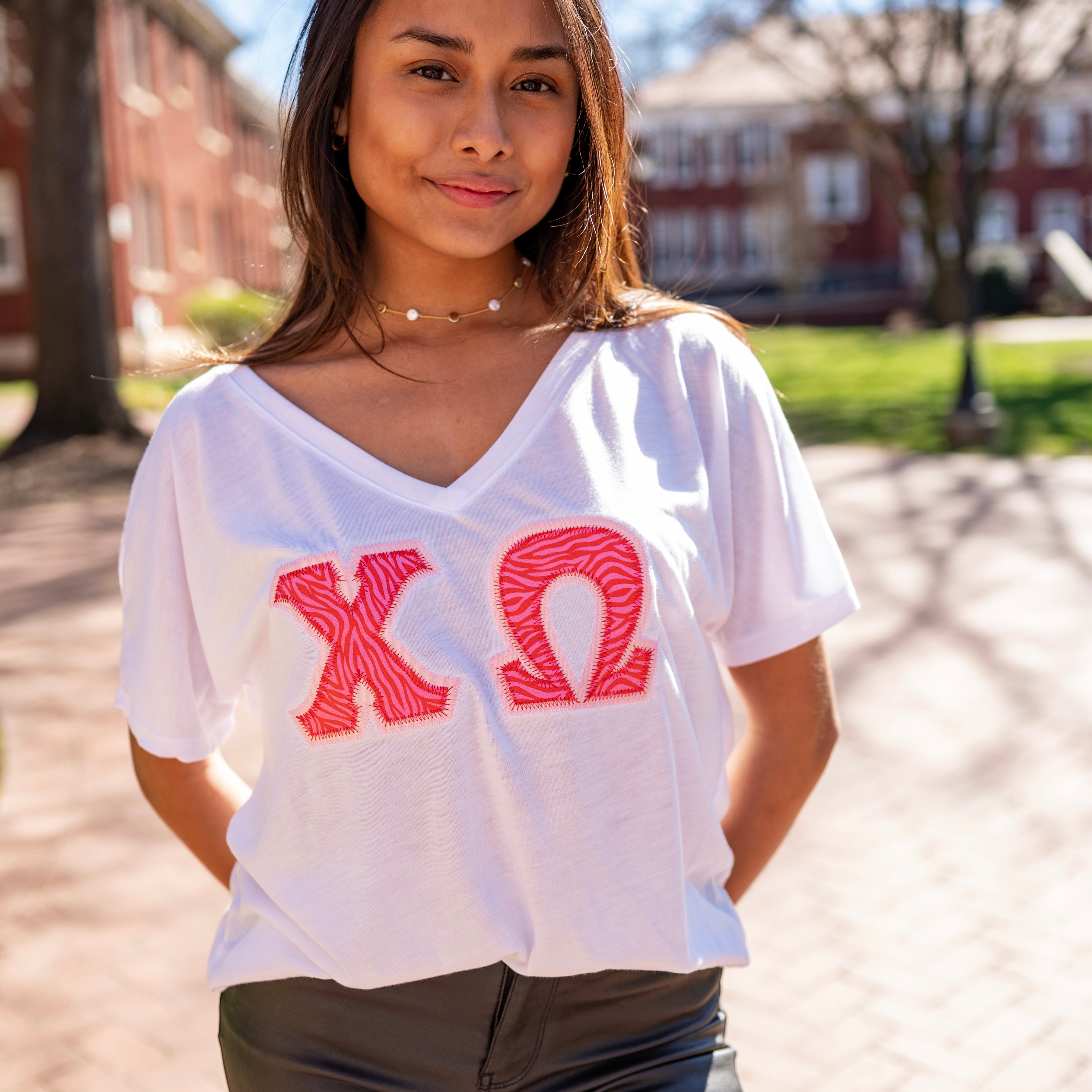 Pink & Red Zebra Greek Letter Shirt