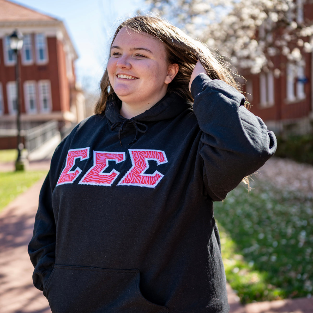 Pink & Red Zebra Greek Letter Gildan Hoodie Sweatshirt – Greek Letter Co.