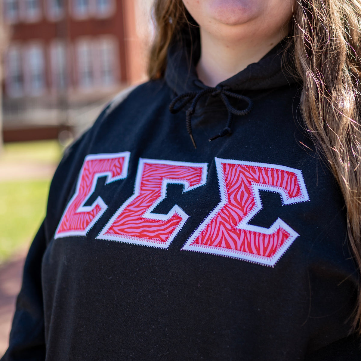 Pink & Red Zebra Greek Letter Gildan Hoodie Sweatshirt – Greek Letter Co.