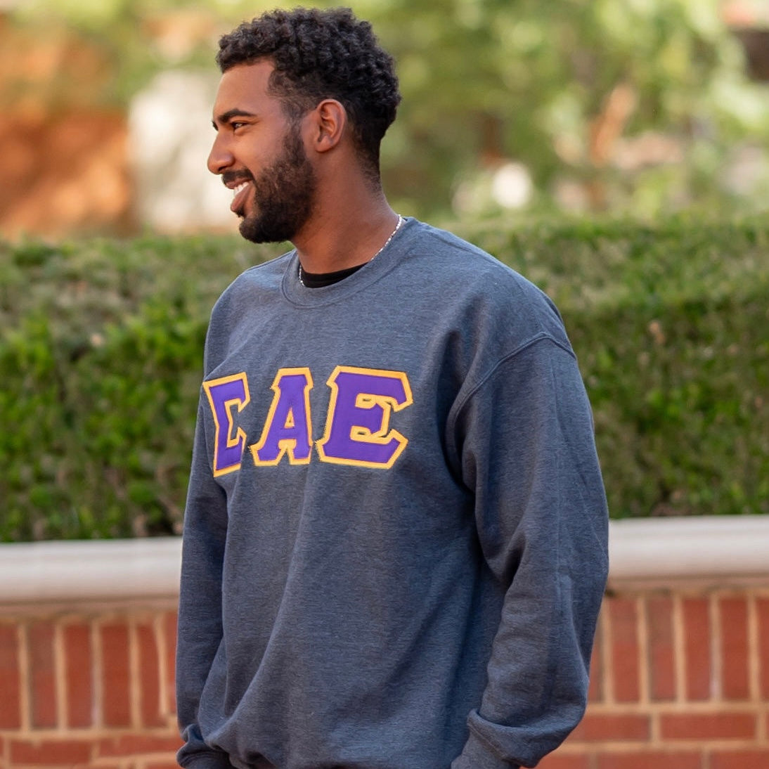 Custom Stitched Sigma Alpha Epsilon Fraternity Greek Letter Crewneck Sweatshirt